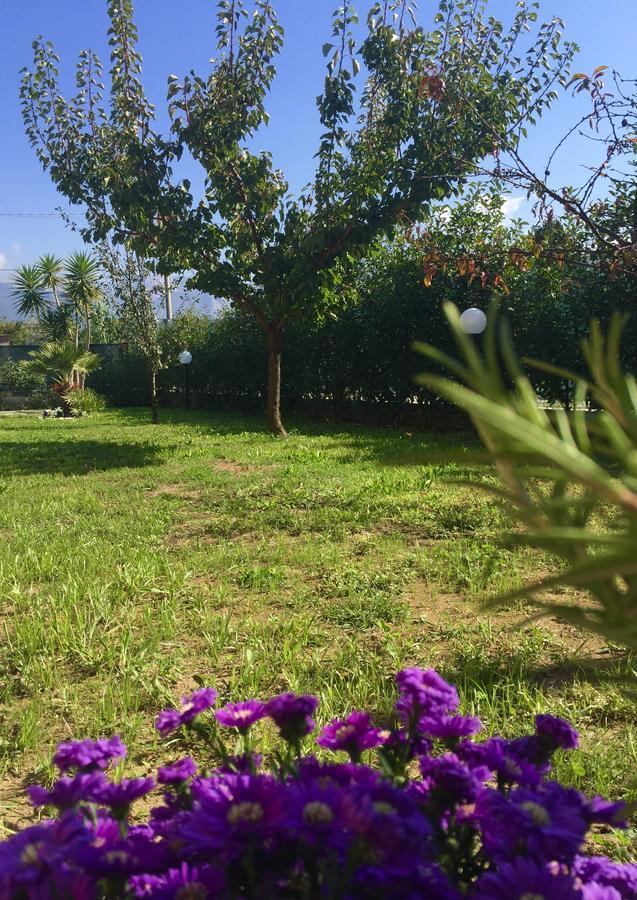 Bba2Passi Bed & Breakfast Marina di Massa Bagian luar foto